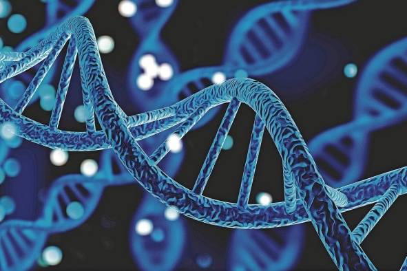 2023 traerá oportunidades para la genética y la prevención de enfermedades. 2023 traerá oportunidades para la genética y la prevención de enfermedades.