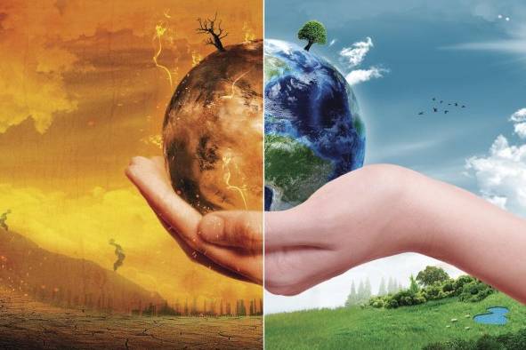La biodiversidad está sufriendo daños irreversibles. La biodiversidad está sufriendo daños irreversibles.
