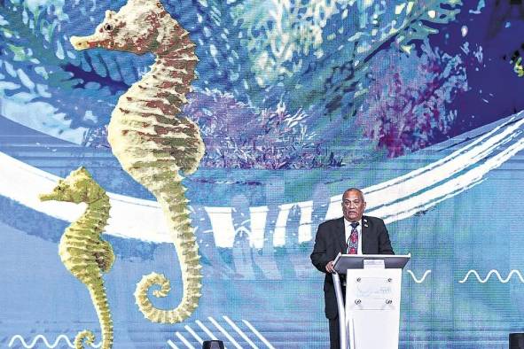 La conferencia sobre los océanos se realizó en Panamá entre el jueves y viernes pasado. La conferencia sobre los océanos se realizó en Panamá entre el jueves y viernes pasado.