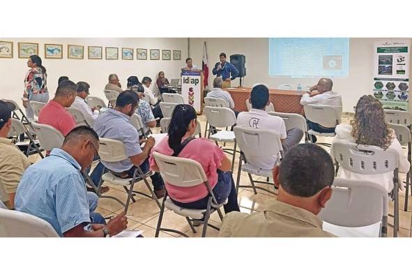 Productores asistieron a una reunión con el IDIAP para definir las estrategias ante posibles condiciones climáticas adversas. Productores asistieron a una reunión con el IDIAP para definir las estrategias ante posibles condiciones climáticas adversas.