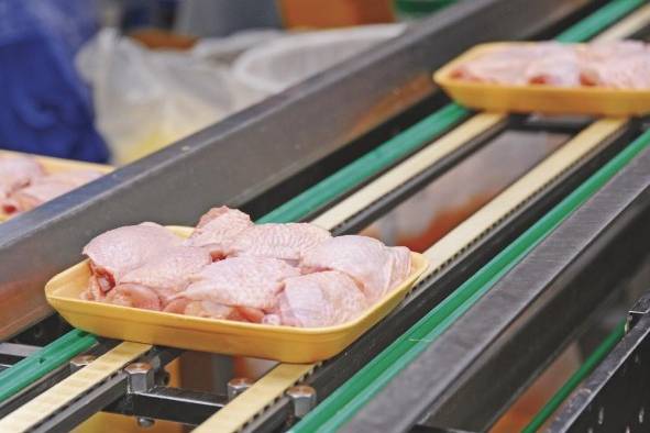 Los aranceles del pollo bajarán a cero. Los aranceles del pollo bajarán a cero.
