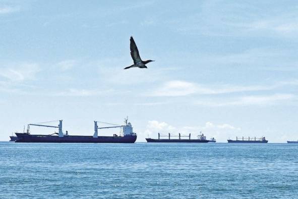 El registro panameño es abierto y no exige a los propietarios de los barcos tener nacionalidad y residencia panameña. El registro panameño es abierto y no exige a los propietarios de los barcos tener nacionalidad y residencia panameña.