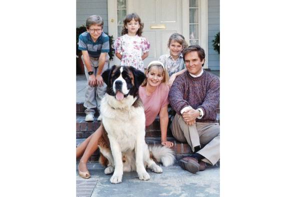 <strong>Beethoven (1992) </strong>Posiblemente la más popular de las películas caninas, ya que se le produjeron al menos cuatro secuelas. Se trata de un perro san bernardo que escapa de una banda de ladrones que ha robado la tienda de animales donde estaba, pero se encuentra con el sueño de su vida: una casa maravillosa, con un enorme jardín, y niños, y por ende, una familia. <strong>Beethoven (1992) </strong>Posiblemente la más popular de las películas caninas, ya que se le produjeron al menos cuatro secuelas. Se trata de un perro san bernardo que escapa de una banda de ladrones que ha robado la tienda de animales donde estaba, pero se encuentra con el sueño de su vida: una casa maravillosa, con un enorme jardín, y niños, y por ende, una familia.