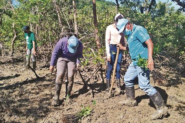 El Meduca busca reforzar los conocimientos de los estudiantes para que sean capaces de enfrentar los desafíos y retos del cambio climático. El Meduca busca reforzar los conocimientos de los estudiantes para que sean capaces de enfrentar los desafíos y retos del cambio climático.