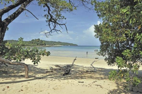 La Playa de las Suecas, es la única nudista de las cinco que se sitúan en Isla Contadora. La Playa de las Suecas, es la única nudista de las cinco que se sitúan en Isla Contadora.