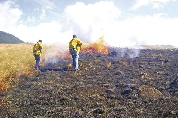 En lugares donde hay riesgo potencial de incendios en masas vegetales, es fundamental que se realicen acciones previas para minimizar los daños. En lugares donde hay riesgo potencial de incendios en masas vegetales, es fundamental que se realicen acciones previas para minimizar los daños.