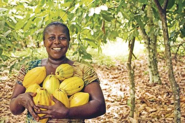 Un sistema alimentario sostenible garantiza la nutrición y seguridad alimentaria sin comprometer el futuro de las próximas generaciones. Un sistema alimentario sostenible garantiza la nutrición y seguridad alimentaria sin comprometer el futuro de las próximas generaciones.