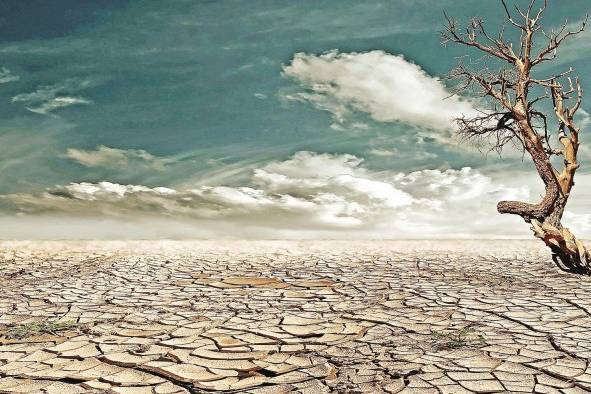 El cambio climático aumenta las probabilidades de que la sequía empeore en muchas partes del mundo en las próximas décadas. El cambio climático aumenta las probabilidades de que la sequía empeore en muchas partes del mundo en las próximas décadas.