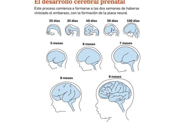 Desarrollo, el resultado de una ecuación que involucra educación y salud Desarrollo, el resultado de una ecuación que involucra educación y salud