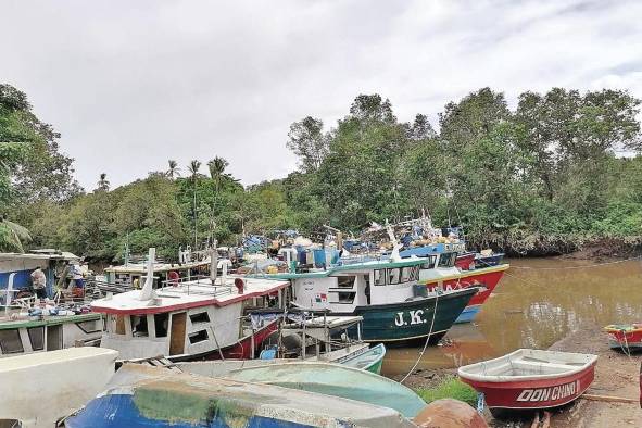 Los pescadores del Golfo de Chiriquí rechazan las prácticas agresivas de la organización. Los pescadores del Golfo de Chiriquí rechazan las prácticas agresivas de la organización.