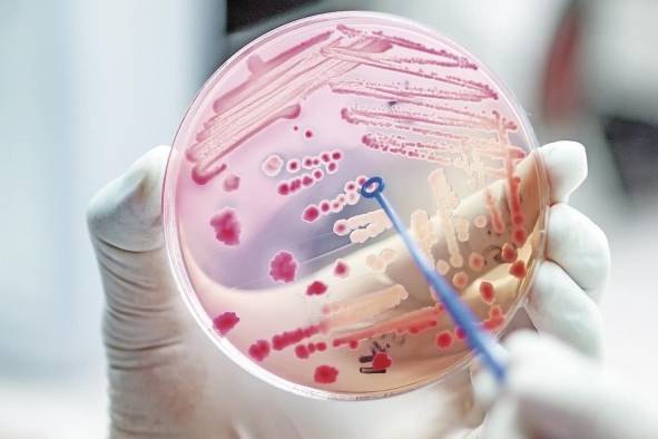 Resistencia a los antibióticos: un problema para los sistemas de salud global Resistencia a los antibióticos: un problema para los sistemas de salud global