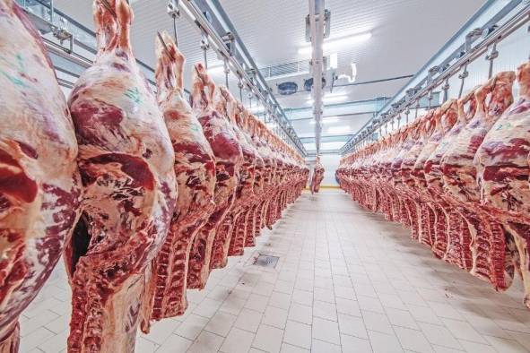 La carne de res es uno de los productos sensitivos en la negociación. La carne de res es uno de los productos sensitivos en la negociación.