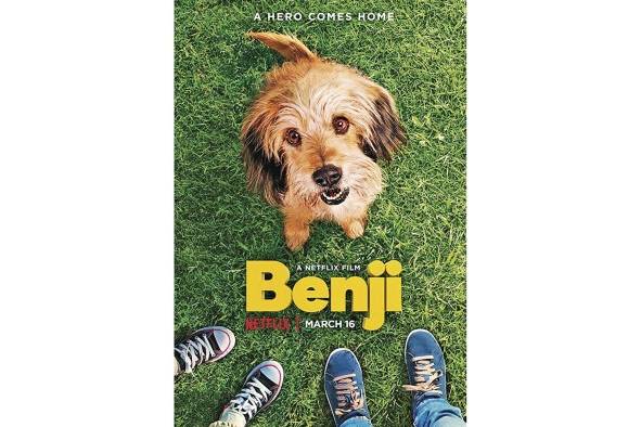 <strong>Benji (1974)</strong> Uno de los clásicos por excelencia del cine infantil es sobre un perro callejero tejano que se hace amigo de todos, consiguiendo comida, cobija, y el mejor trato, incluso para su compañera mascota. La tensión de la película se da cuando dos niños favoritos de Benji han sido secuestrados y los dos perros tratarán de liberarlos, junto con sus amigos. <strong>Benji (1974)</strong> Uno de los clásicos por excelencia del cine infantil es sobre un perro callejero tejano que se hace amigo de todos, consiguiendo comida, cobija, y el mejor trato, incluso para su compañera mascota. La tensión de la película se da cuando dos niños favoritos de Benji han sido secuestrados y los dos perros tratarán de liberarlos, junto con sus amigos.