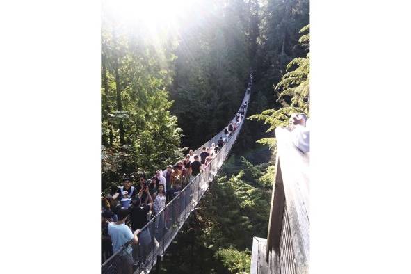 El Capilano está en medio de la montaña. El Capilano está en medio de la montaña.