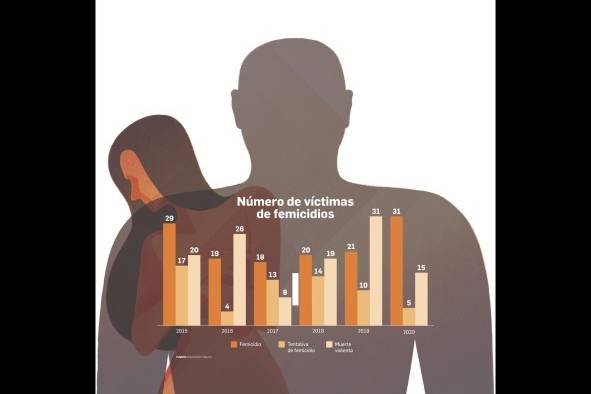 En el año de la pandemia se registraron 31 femicidios, la cifra más alta de los últimos seis años En el año de la pandemia se registraron 31 femicidios, la cifra más alta de los últimos seis años