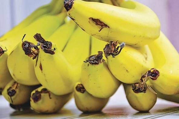 El valor de las exportaciones de banano fresco fue uno de los más altos: $64,0 millones. El valor de las exportaciones de banano fresco fue uno de los más altos: $64,0 millones.
