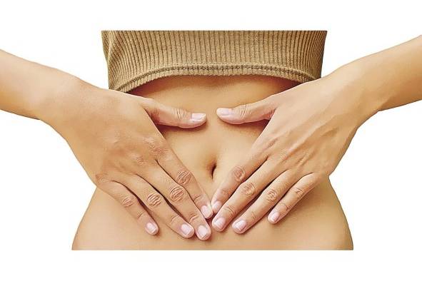 Los probióticos contribuyen a mantener una buena flora intestinal y un metabolismo más rápido. Los probióticos contribuyen a mantener una buena flora intestinal y un metabolismo más rápido.