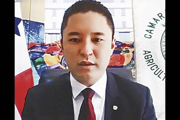 Michael Chen:'Si nosotros no tomamos acción, vamos a perder lo poco o lo mucho que queda de Colón' Michael Chen:'Si nosotros no tomamos acción, vamos a perder lo poco o lo mucho que queda de Colón'