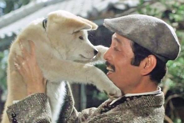 <strong>Hachiko Monogatari (1987)</strong> Inspirada en el caso real que ocurrió en Japón sobre un perro que guardó por siempre amistad, confianza, fidelidad y afecto a su amo, hasta el día de su muerte. En su memoria, fue hecha una estatua de bronce que se encuentra en el reloj de la estación Shibuya en Tokio. Hachiko, de raza akita, siempre le fue leal a su amo, el profesor Ueno. El filme japonés fue un fenómeno de taquilla, y su versión estadounidense, con Richard Gere, uno de las mejores dramas sobre mascotas estrenados a la fecha. <strong>Hachiko Monogatari (1987)</strong> Inspirada en el caso real que ocurrió en Japón sobre un perro que guardó por siempre amistad, confianza, fidelidad y afecto a su amo, hasta el día de su muerte. En su memoria, fue hecha una estatua de bronce que se encuentra en el reloj de la estación Shibuya en Tokio. Hachiko, de raza akita, siempre le fue leal a su amo, el profesor Ueno. El filme japonés fue un fenómeno de taquilla, y su versión estadounidense, con Richard Gere, uno de las mejores dramas sobre mascotas estrenados a la fecha.
