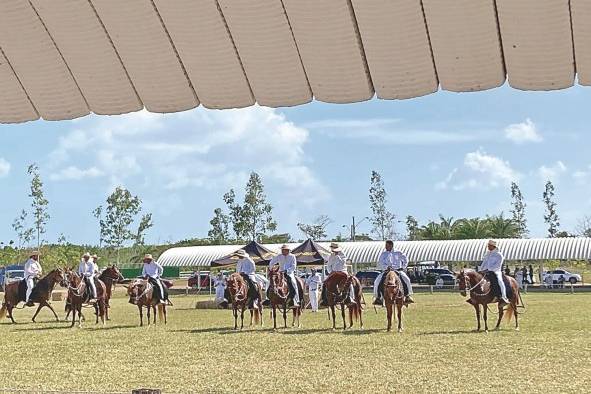 La crianza de caballos peruanos de paso en Panamá está registrada desde el siglo XIX. La crianza de caballos peruanos de paso en Panamá está registrada desde el siglo XIX.