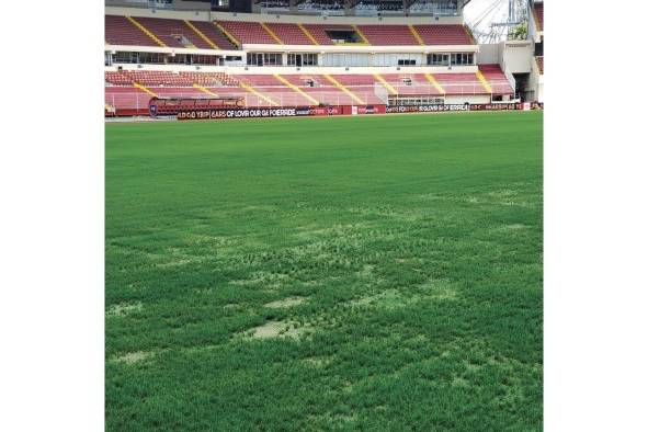 La grama de la cancha se encuentra en mal estado. La inversión realizada por Pandeportes fue de 1.7 millones de dólares. La grama de la cancha se encuentra en mal estado. La inversión realizada por Pandeportes fue de 1.7 millones de dólares.