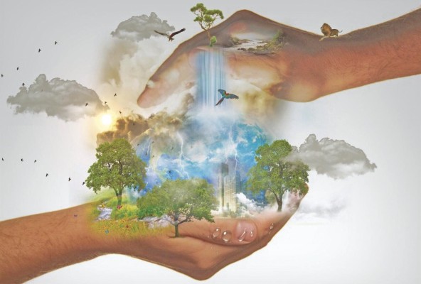 La pandemia es también la expresión de una crisis ecológica. La pandemia es también la expresión de una crisis ecológica.