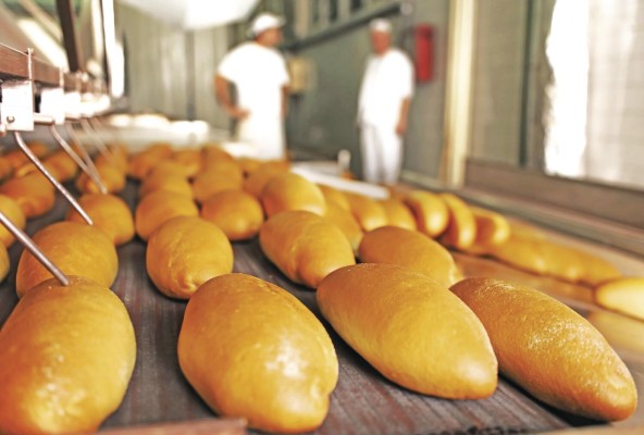Día Mundial de la Inocuidad de los Alimentos Visión de Salud Integral: La Salud Pública Alimentaria Día Mundial de la Inocuidad de los Alimentos Visión de Salud Integral: La Salud Pública Alimentaria