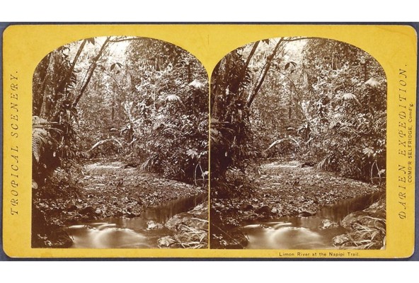 Paisajes tropicales, río Limón en el sendero Napipi, expedición a Darién, Panamá, 1871. The New York Public Library. Paisajes tropicales, río Limón en el sendero Napipi, expedición a Darién, Panamá, 1871. The New York Public Library.