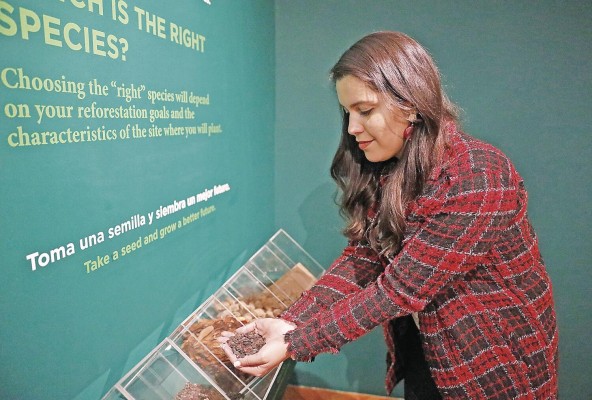 La exhibición es propicia para que los visitantes interactúen con las temáticas. La exhibición es propicia para que los visitantes interactúen con las temáticas.