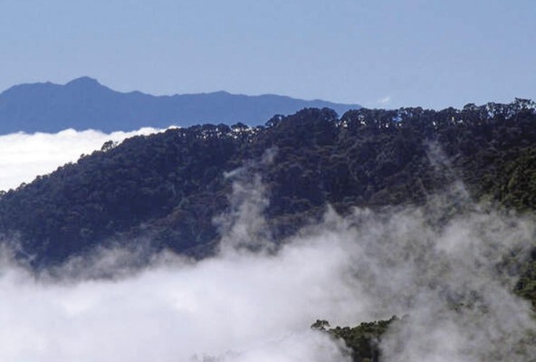 Parque Nacional La Amistad, Reserva Natural de Panamá desde 1983. Parque Nacional La Amistad, Reserva Natural de Panamá desde 1983.