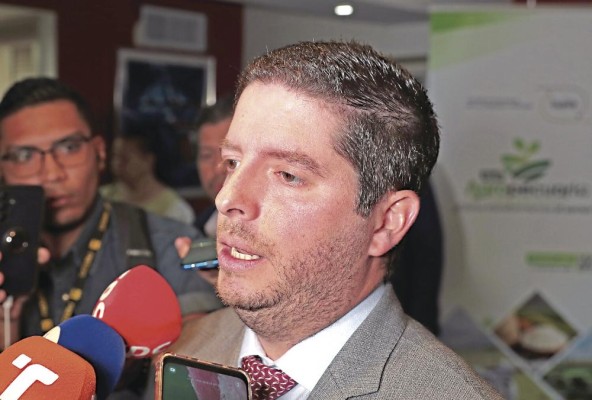 El ministro de Comercio e Industria, Federico Alfaro. El ministro de Comercio e Industria, Federico Alfaro.