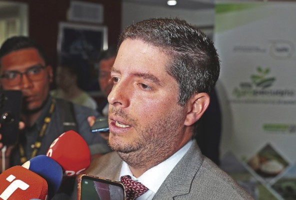 El ministro de Comercio e Industria, Federico Alfaro. El ministro de Comercio e Industria, Federico Alfaro.