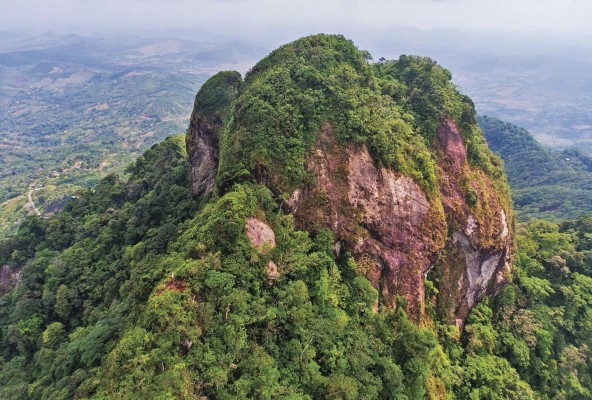 Panamá cuenta con 12,520.26 km² de parques nacionales terrestres lo que hace a Panamá una nación rodeada de biodiversidad. Panamá cuenta con 12,520.26 km² de parques nacionales terrestres lo que hace a Panamá una nación rodeada de biodiversidad.