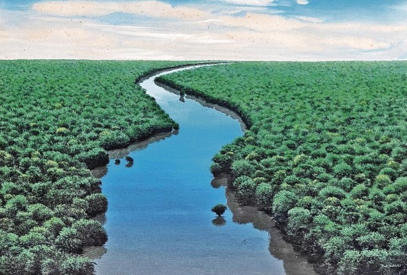 Por la senda del río 1992 Tomás Sánchez (Cuba 1948) Por la senda del río 1992 Tomás Sánchez (Cuba 1948)
