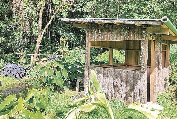 Observatorio escondido de aves en Reserva Natural Privada Mount Totumas Cloud Forest & Eco Lodge, en zona de amortiguamiento del Parque Internacional La Amistad, Los Pozos de Volcán, distrito de Tierras Altas en la provincia de Chiriquí, región occidental de Panamá Observatorio escondido de aves en Reserva Natural Privada Mount Totumas Cloud Forest & Eco Lodge, en zona de amortiguamiento del Parque Internacional La Amistad, Los Pozos de Volcán, distrito de Tierras Altas en la provincia de Chiriquí, región occidental de Panamá