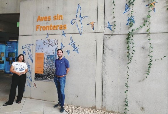 La artista encargada de los trazos 'Aves sin Fronteras', Meera Sachani y el jefe de guías del Biomuseo, Luis Miranda. La artista encargada de los trazos 'Aves sin Fronteras', Meera Sachani y el jefe de guías del Biomuseo, Luis Miranda.