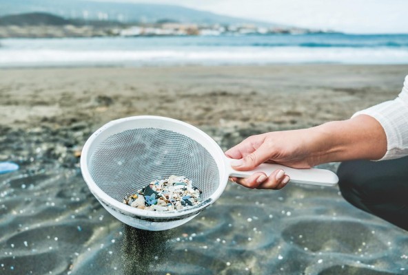 Los microplásticos, el nuevo hogar de los microbios en el Caribe Los microplásticos, el nuevo hogar de los microbios en el Caribe