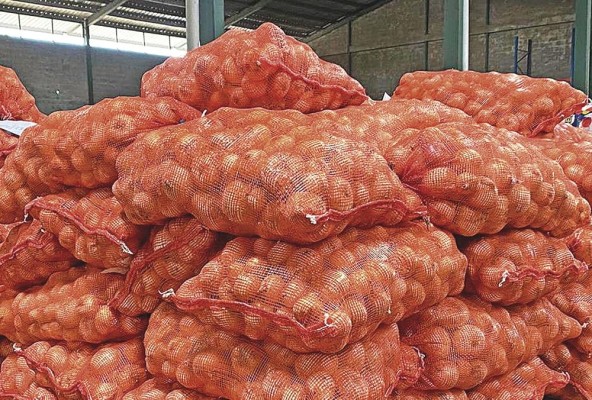 A inicios de 2023 el IMA informó de la adquisición de 45.488,78 quintales de cebolla coclesana. A inicios de 2023 el IMA informó de la adquisición de 45.488,78 quintales de cebolla coclesana.