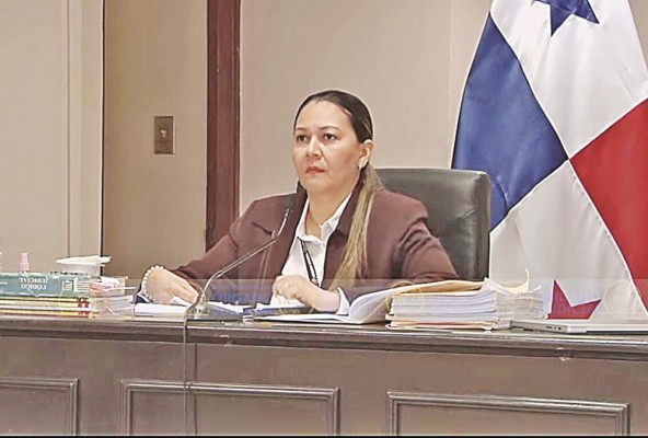 La jueza Baloisa Marquínez no termina de admitir las pruebas presentadas. La jueza Baloisa Marquínez no termina de admitir las pruebas presentadas.