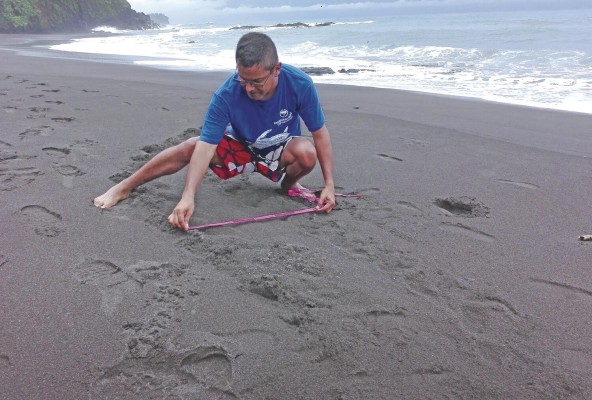 El Dr. Eric Flores es especialista en biodiversidad de la Estación Científica Coiba AIP, miembro del SNI y miembro de la Fundación Panama Wildlife Conservation. El Dr. Eric Flores es especialista en biodiversidad de la Estación Científica Coiba AIP, miembro del SNI y miembro de la Fundación Panama Wildlife Conservation.