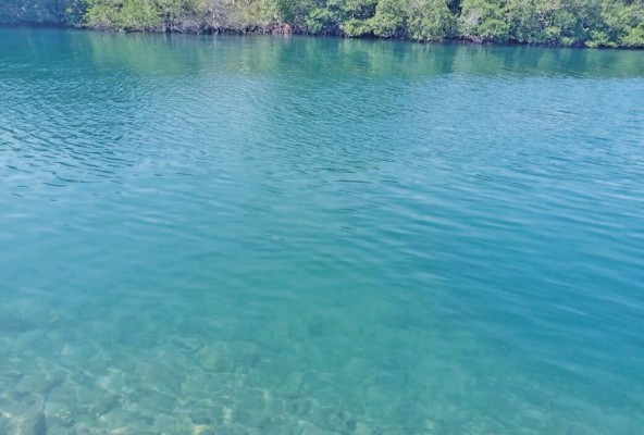Playa Dama, un paraíso tropical en la provincia de Colón Playa Dama, un paraíso tropical en la provincia de Colón