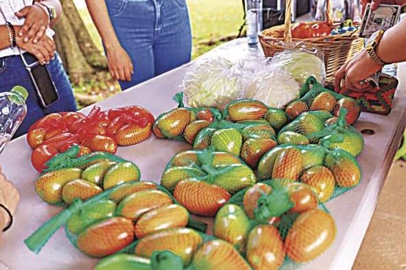 La UP de Chiriquí se sustenta con lo que produce. La UP de Chiriquí se sustenta con lo que produce.