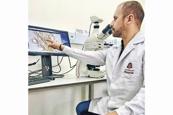 El doctor Edwin Cadena de la Universidad del Rosario en Bogotá lidera la investigación. El doctor Edwin Cadena de la Universidad del Rosario en Bogotá lidera la investigación.