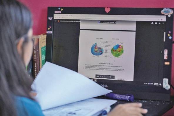La pandemia obligó a la digitalización del sistema educativo. La pandemia obligó a la digitalización del sistema educativo.