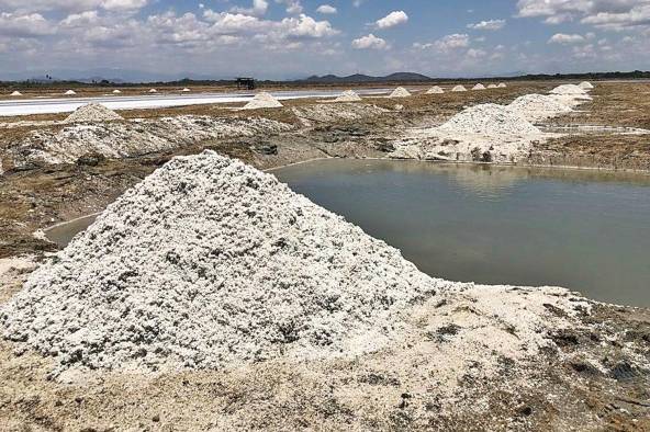 Aguadulce posee cientos de hectáreas de albinas dedicadas a la extracción de sal del agua de mar conocidas como Las Salinas. Aguadulce posee cientos de hectáreas de albinas dedicadas a la extracción de sal del agua de mar conocidas como Las Salinas.