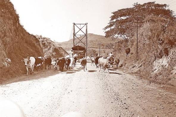 Puente sobre el río San Pablo, Soná, Veraguas, 1950. 20-2006, National Archives, EE.UU. Proyecto de construcción de carretera Panamericana. Puente sobre el río San Pablo, Soná, Veraguas, 1950. 20-2006, National Archives, EE.UU. Proyecto de construcción de carretera Panamericana.
