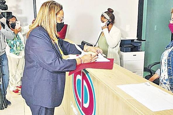 La apelación fue presentada en representación de la diputada Yanibel Ábrego y la exdiputada Dana Castañeda. La apelación fue presentada en representación de la diputada Yanibel Ábrego y la exdiputada Dana Castañeda.