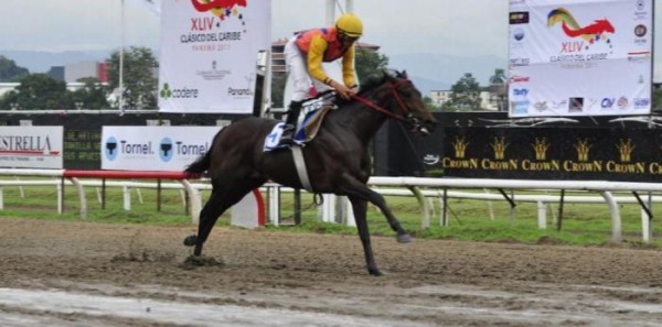 El Hipódromo Presidente Remón ha sido sede del torneo equino en siete versiones. El Hipódromo Presidente Remón ha sido sede del torneo equino en siete versiones.