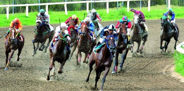 Un total de ocho carreras se celebrarán en la cartelera sabatina del Hipódromo Presidente Remón. Un total de ocho carreras se celebrarán en la cartelera sabatina del Hipódromo Presidente Remón.