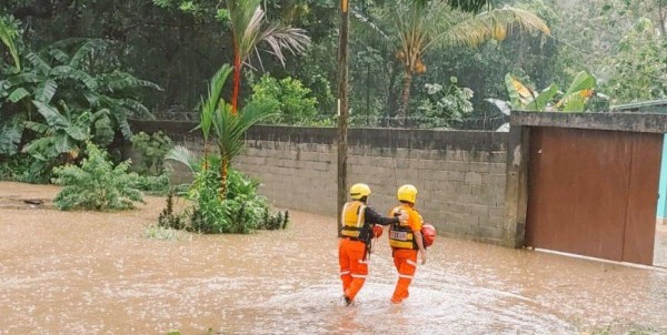 Al menos se reportan 30 viviendas inundadas en los sectores de Las Margaritas y en Las Garzas. Al menos se reportan 30 viviendas inundadas en los sectores de Las Margaritas y en Las Garzas.